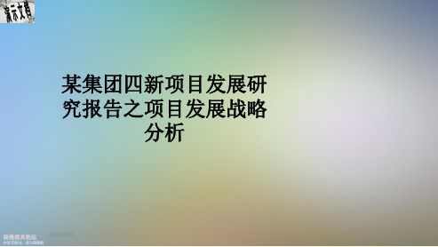 某集团四新项目发展研究报告之项目发展战略分析