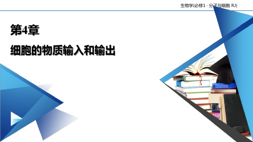 【公开课课件】第4章 细胞的物质输入和输出 本章整合 课件-【新教材】人教版(2019)必修一(共23张PPT)