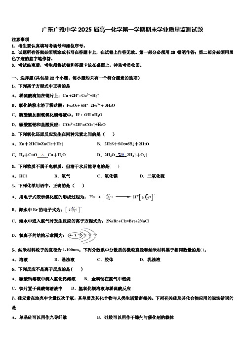 广东广雅中学2025届高一化学第一学期期末学业质量监测试题含解析