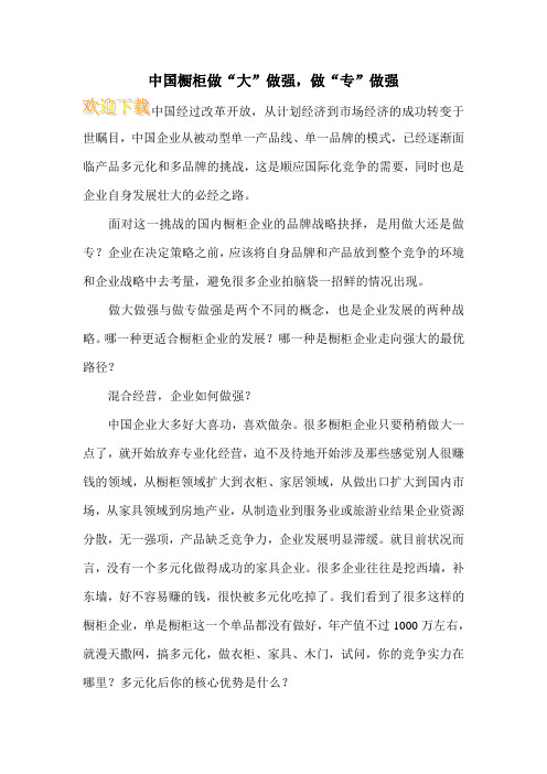 中国橱柜做“大”做强,做“专”做强