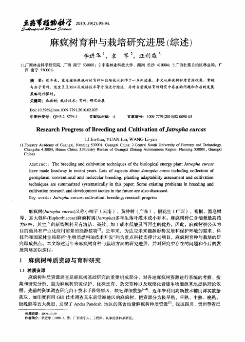 麻疯树育种与栽培研究进展(综述)