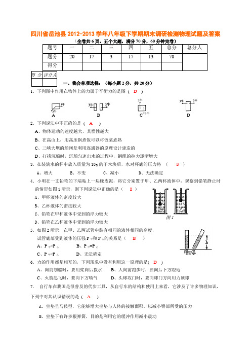 四川省岳池县2012-2013学年八年级下学期期末调研检测物理试题及答案