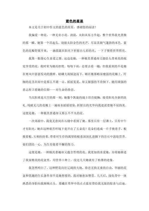 蓝色的星星_初中作文
