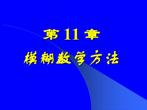 第11章 模糊数学方法