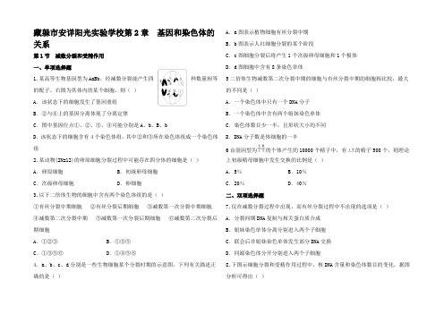 高考生物 第2章 第1节 减数分裂和受精作用配练习2