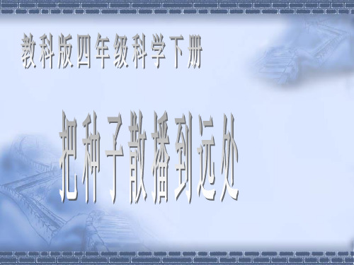 教科版科学四年级下册《2.4.把种子散播到远处》PPT课件(4)