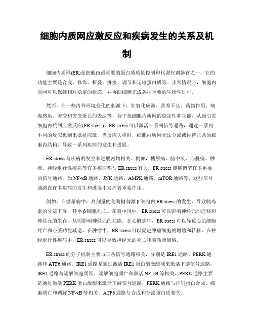 细胞内质网应激反应和疾病发生的关系及机制