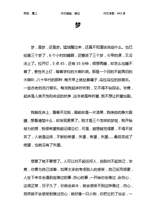 梦作文【高中高二800字】