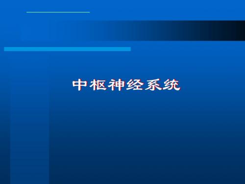 颅骨解剖ppt课件