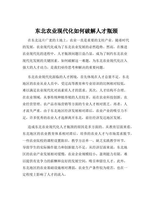 东北农业现代化如何破解人才瓶颈