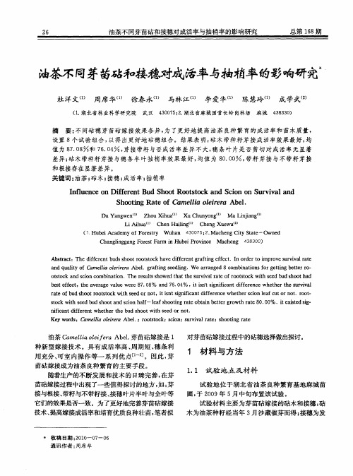 油茶不同芽苗砧和接穗对成活率与抽梢率的影响研究