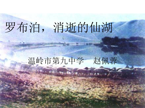 罗布泊,消逝的仙湖 (1)