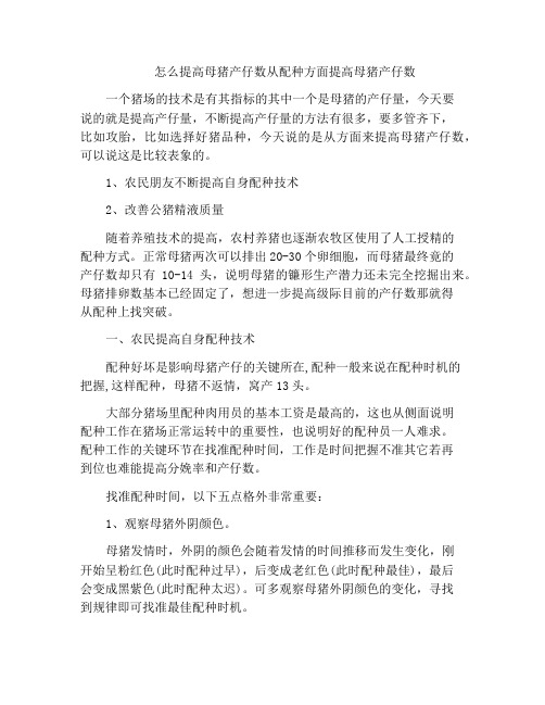 怎么提高母猪产仔数从配种方面提高母猪产仔数