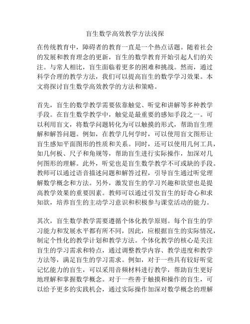 盲生数学高效教学方法浅探