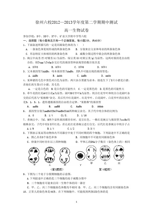 7生物-徐州五中等六校2012-2013学年高一下学期期中考试生物试题