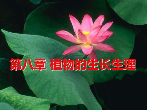 第8章 植物的生长生理