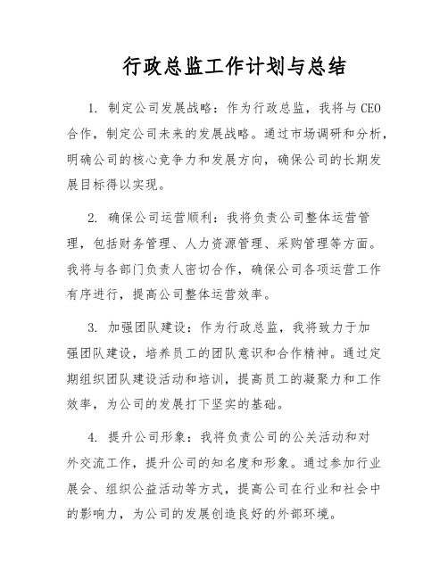 行政总监工作计划与总结