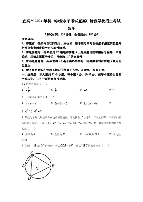 2024年四川省宜宾市中考数学试题(含解析)