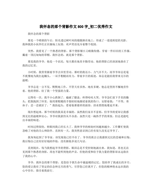 我怀念的那个背影作文800字_初二优秀作文