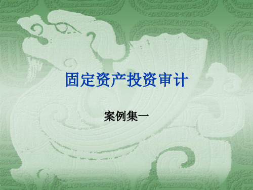 项目投资审计案例(固定资产)