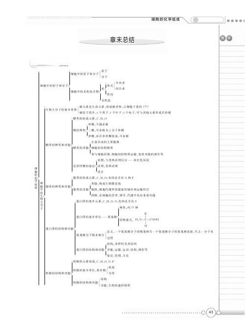 （新新教案系列）高中生物《第二章 细胞的化学组成》章末总结（pdf）苏教版必修1