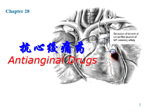 抗心绞痛药