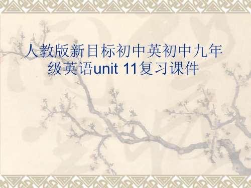 新目标初中英初中九年级英语unit11复习课件