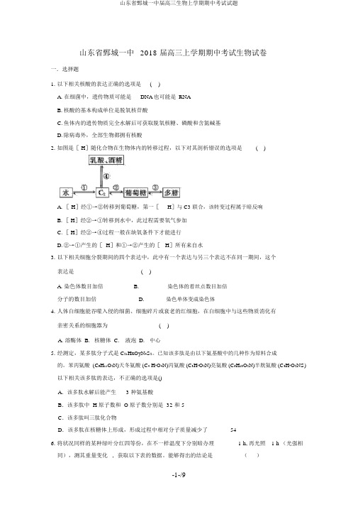 山东省鄄城一中届高三生物上学期期中考试试题