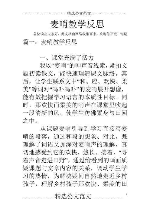 麦哨教学反思