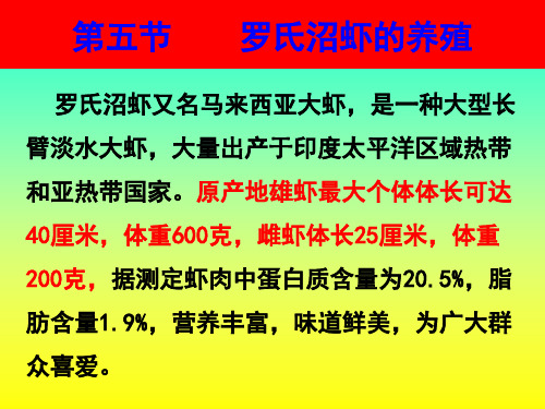 第五节 罗氏沼虾的养殖