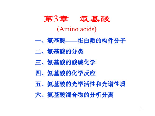 生物化学第3章氨基酸PPT课件