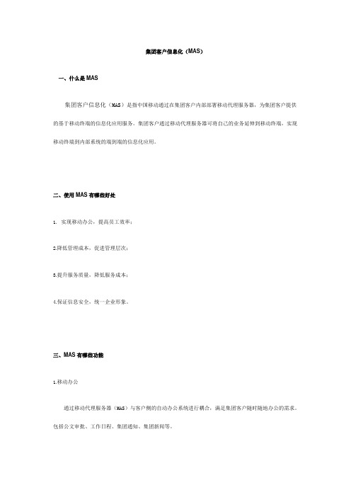 集团客户信息化(MAS)