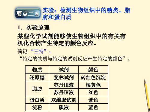 糖类脂质蛋白质的鉴定实验.