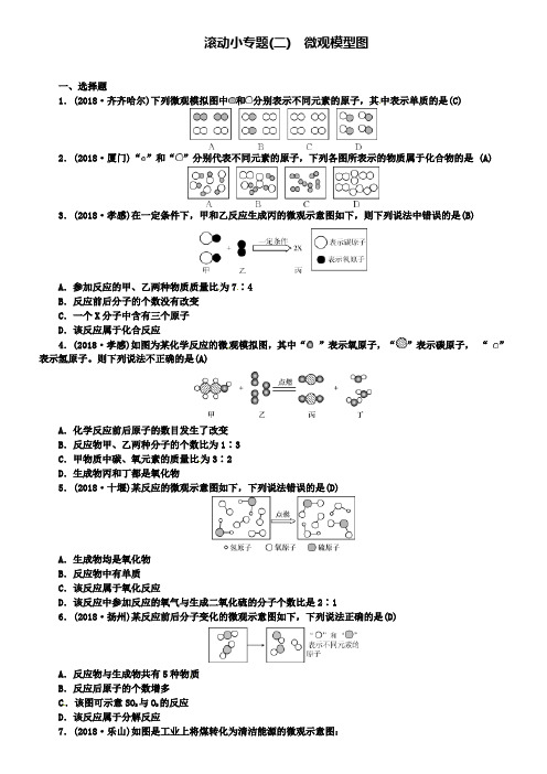 中考化学总复习：滚动二微观模型图试题