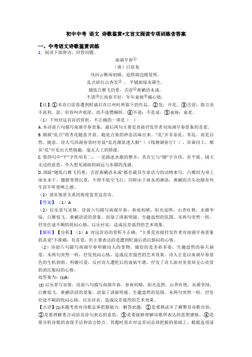 初中中考 语文 诗歌鉴赏+文言文阅读专项训练含答案