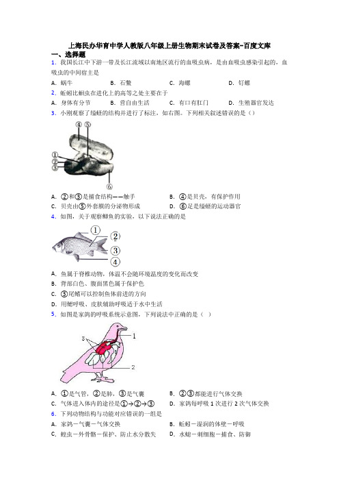 上海民办华育中学人教版八年级上册生物期末试卷及答案-百度文库