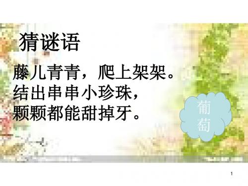 二年级语文上册课件-11 葡萄沟 人教部编版 (共15张PPT)