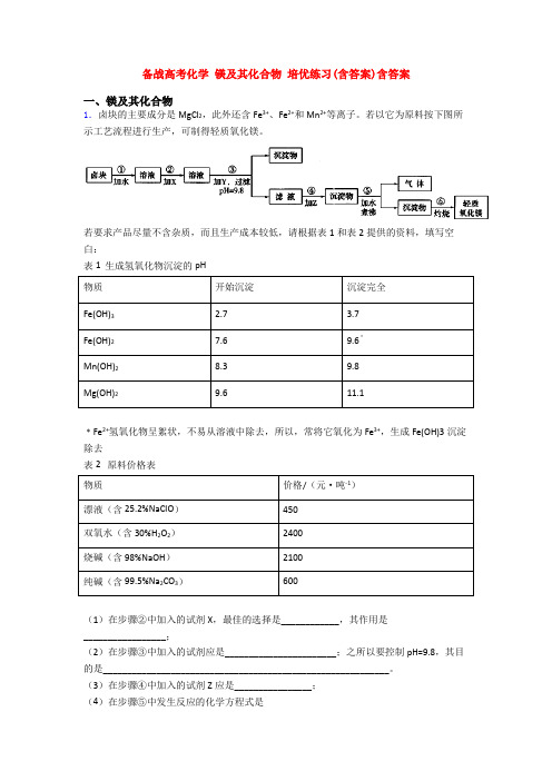 备战高考化学 镁及其化合物 培优练习(含答案)含答案