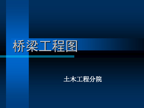 建造师考试辅导桥梁工程示意图PPT课件