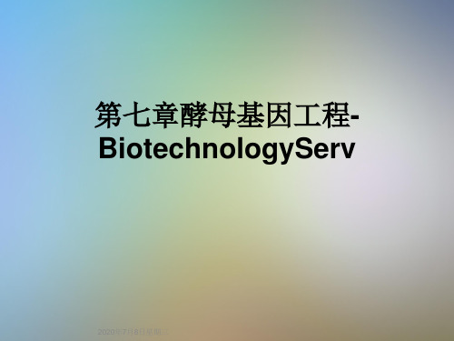 第七章酵母基因工程-BiotechnologyServ