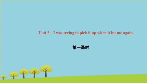 八年级英语上册M8AccidentsUnit2Iwastryingtopickit第一课时课件外研版