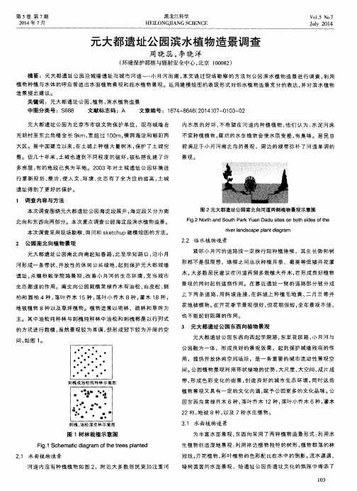 元大都遗址公园滨水植物造景调查