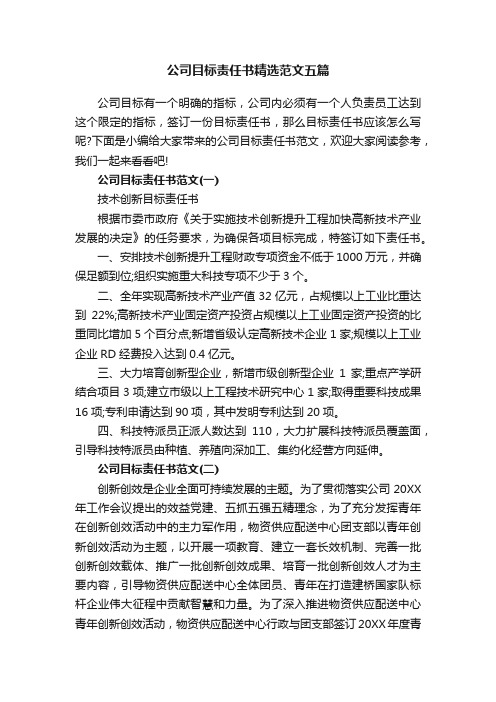 公司目标责任书精选范文五篇