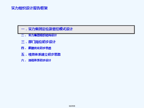 房地产集团组织管控模式及业务流程报告