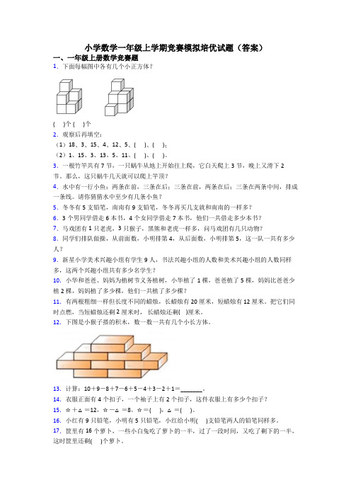 小学数学一年级上学期竞赛模拟培优试题(答案)