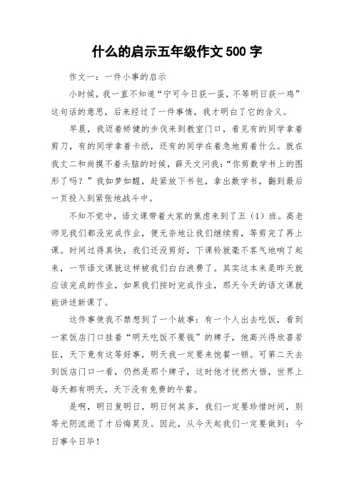 什么的启示五年级作文500字_作文