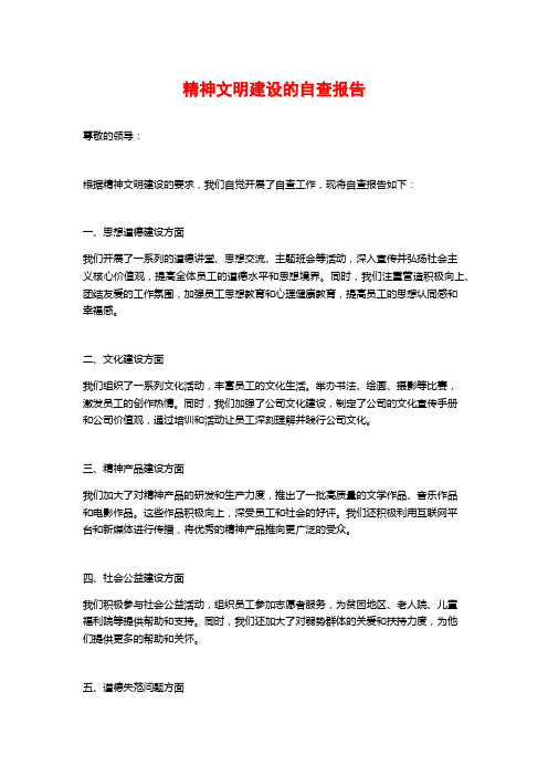 精神文明建设的自查报告 (2)