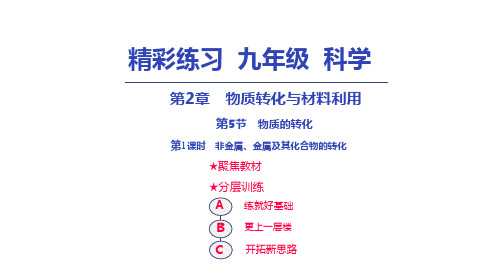 2018秋浙教版九年级上册科学课件：2.5.1非金属、金属及其化合物的转化