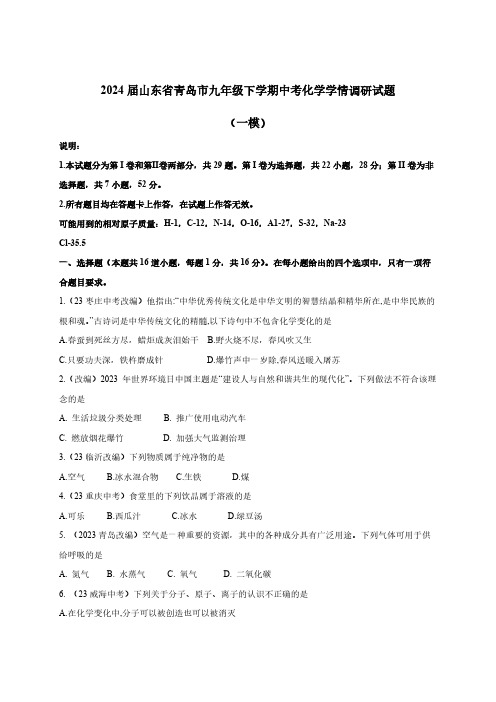 2024届山东省青岛市九年级下册中考化学学情调研试题(一模)附答案