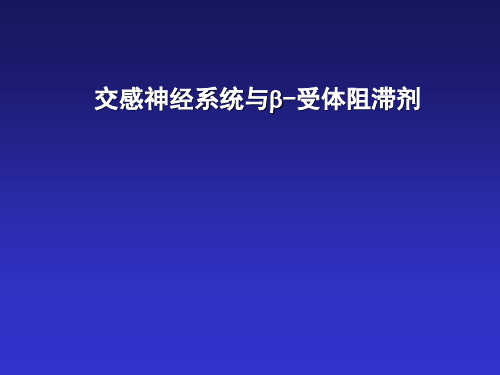 交感神经系统与B受体阻断剂ppt课件